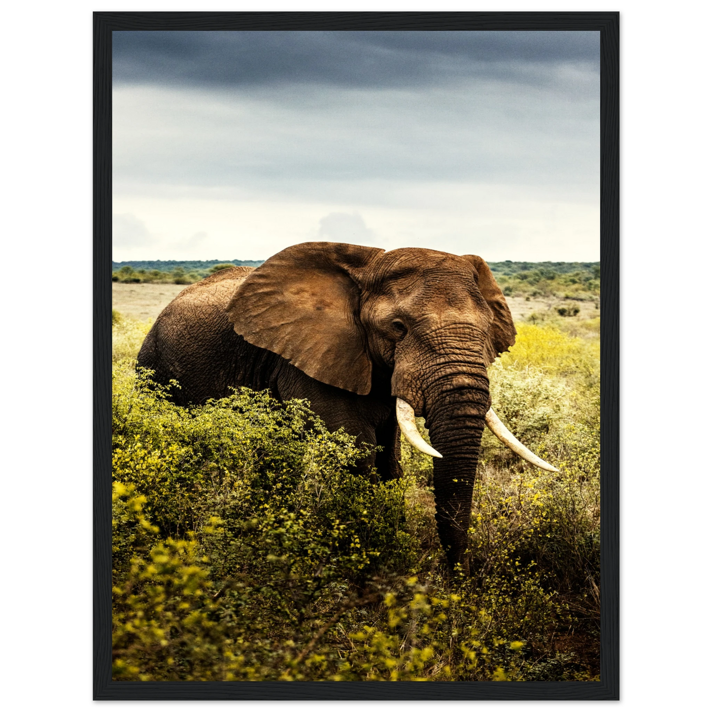 5cc8d008-1260-4e83-a7fa-cff8315e105d