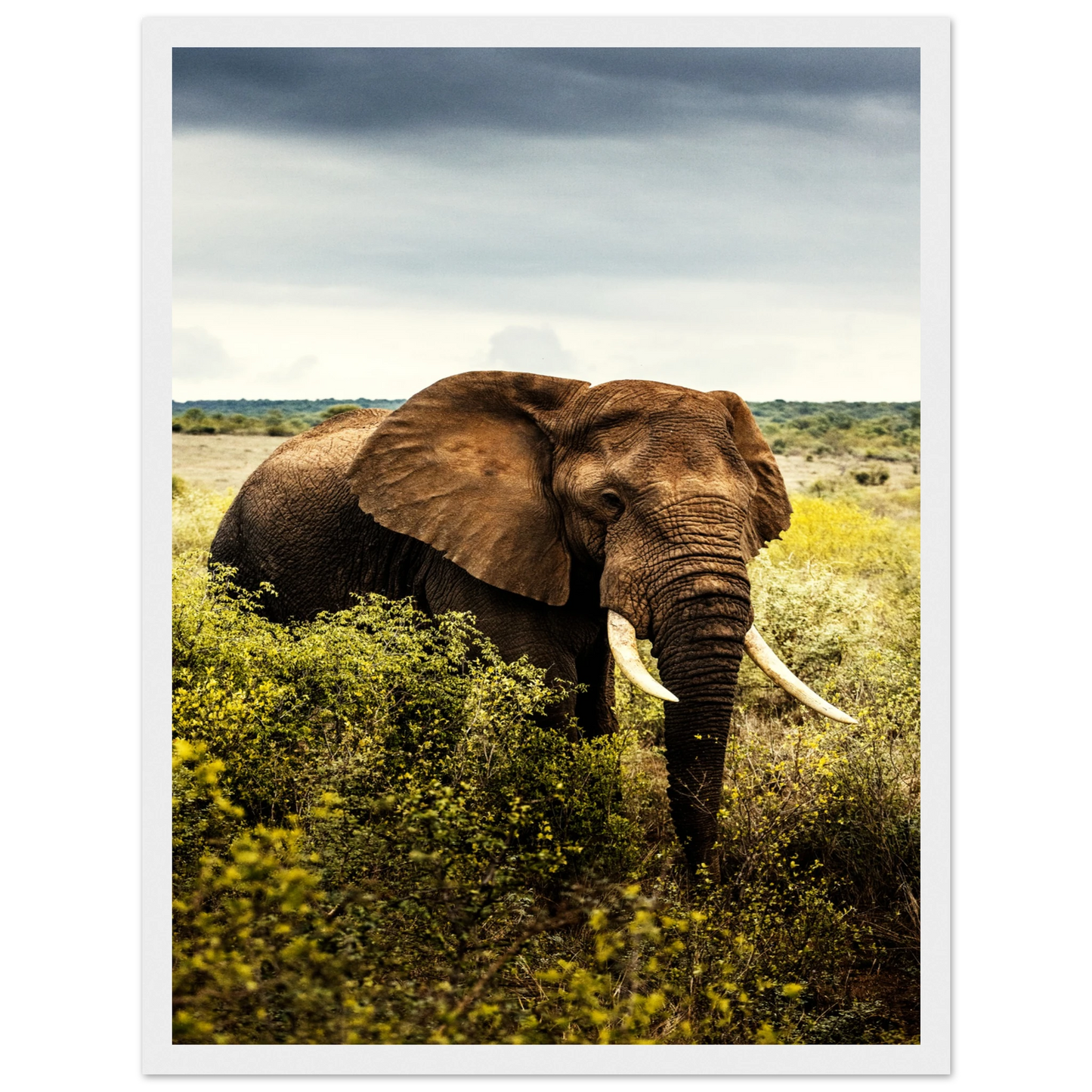 19639004-0145-4c4b-9551-373fecf0043c