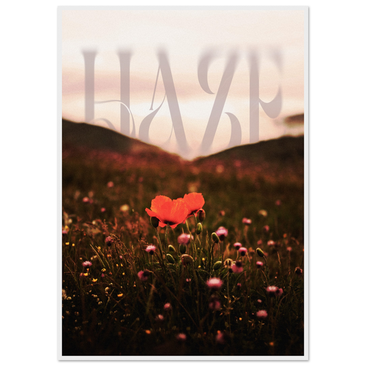 32fdde2f-1342-41b6-b305-378626cc76fb