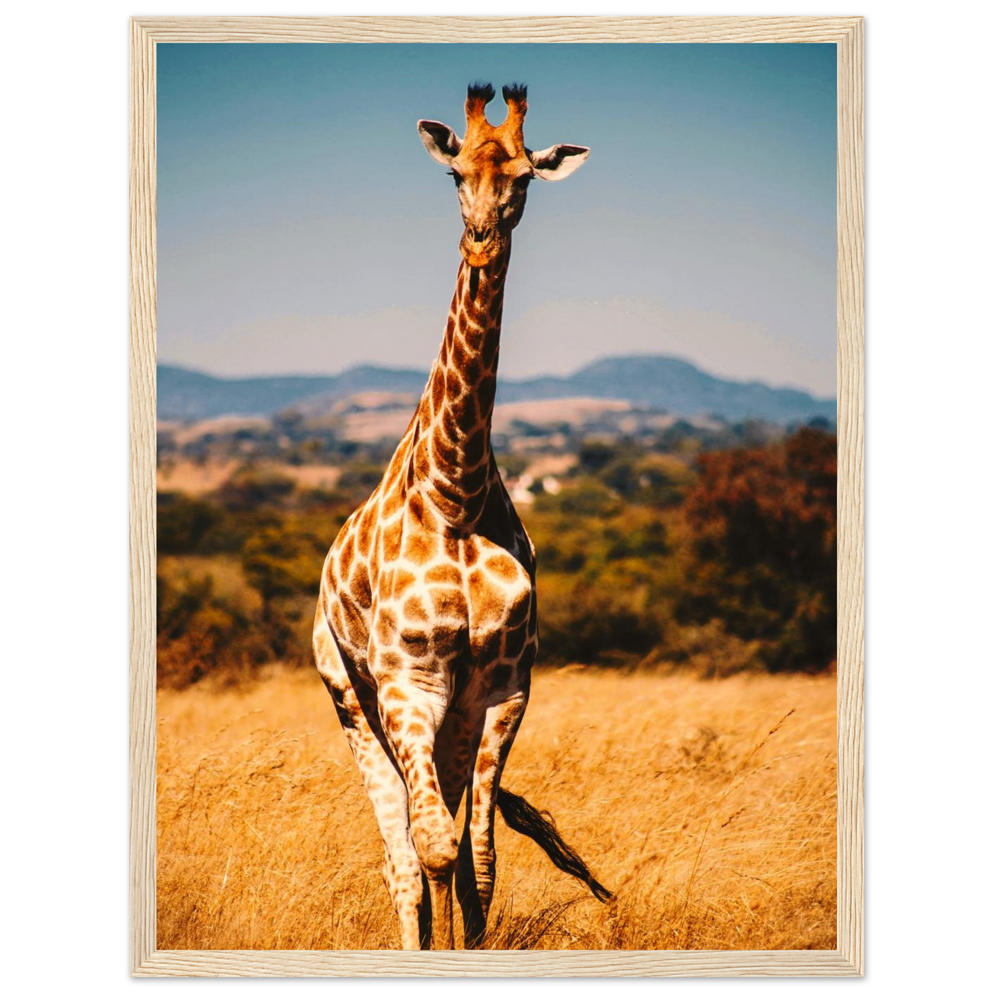 34e061cf-ada4-4b75-ac92-a0b4e5f076bc