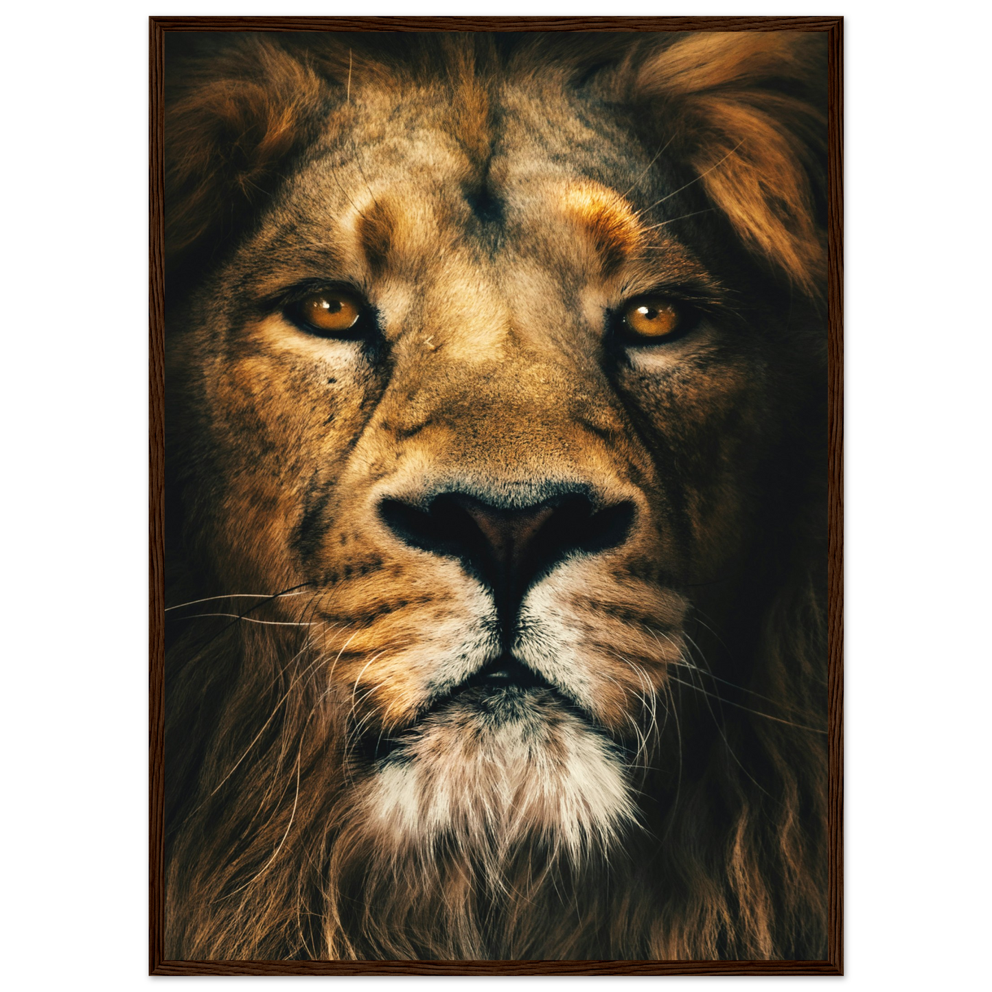 370a4ae0-14ee-42ea-9309-3b8ec8cfa20f