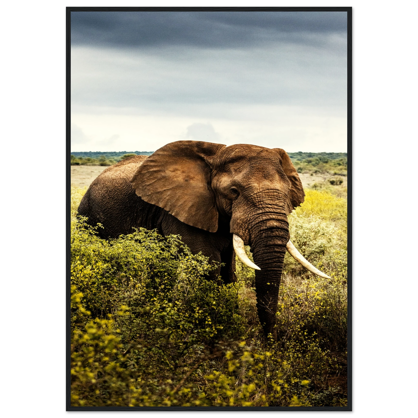 3c656532-f10a-486d-aace-389c85cf022a