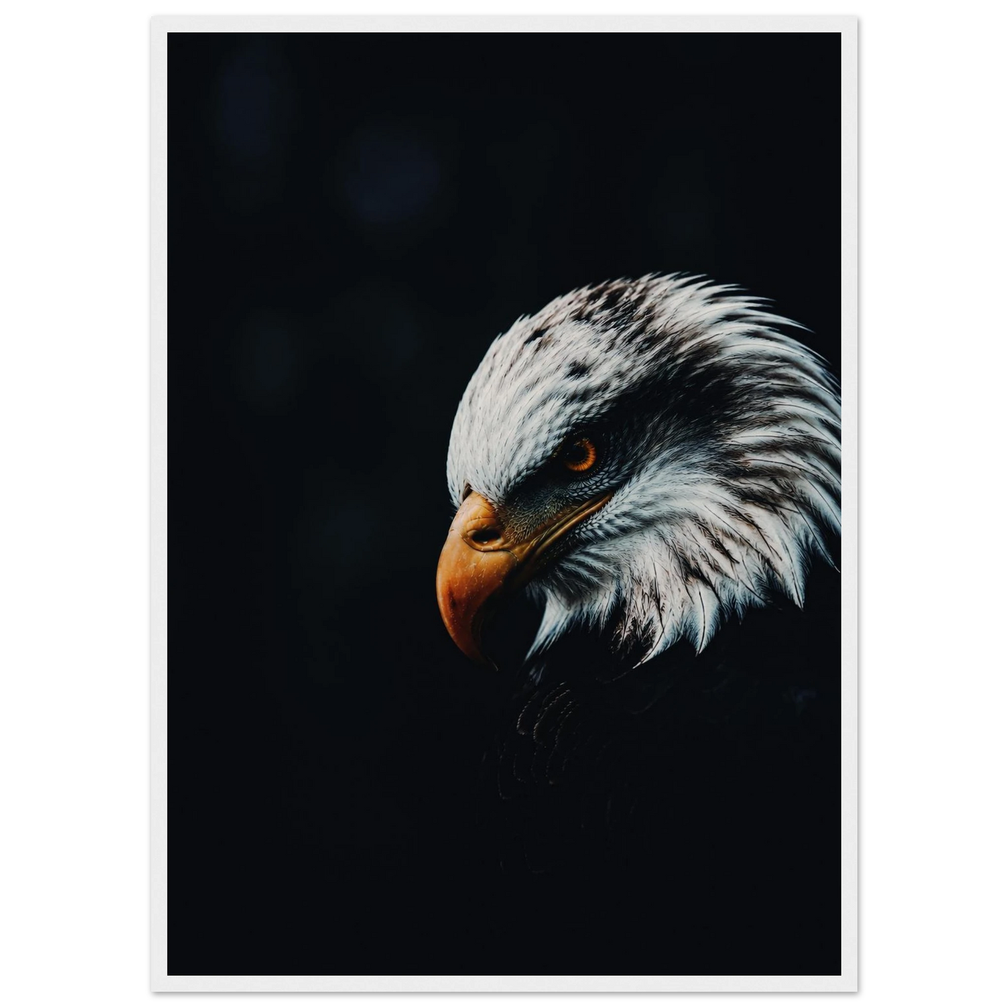 3e0412d8-159b-4843-bffc-061133c1fd07