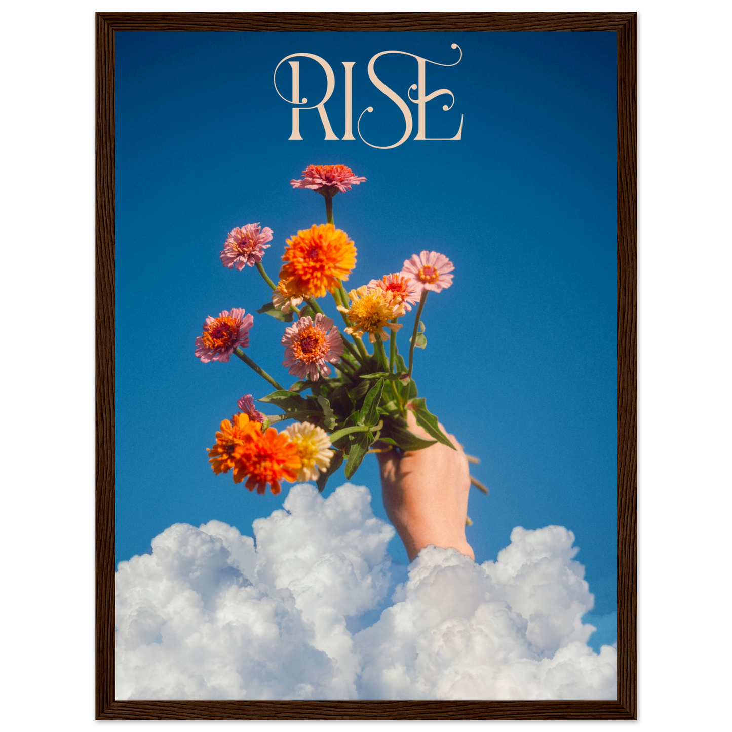 5593d6a4-bdf7-4296-8447-ba7ee15e783a