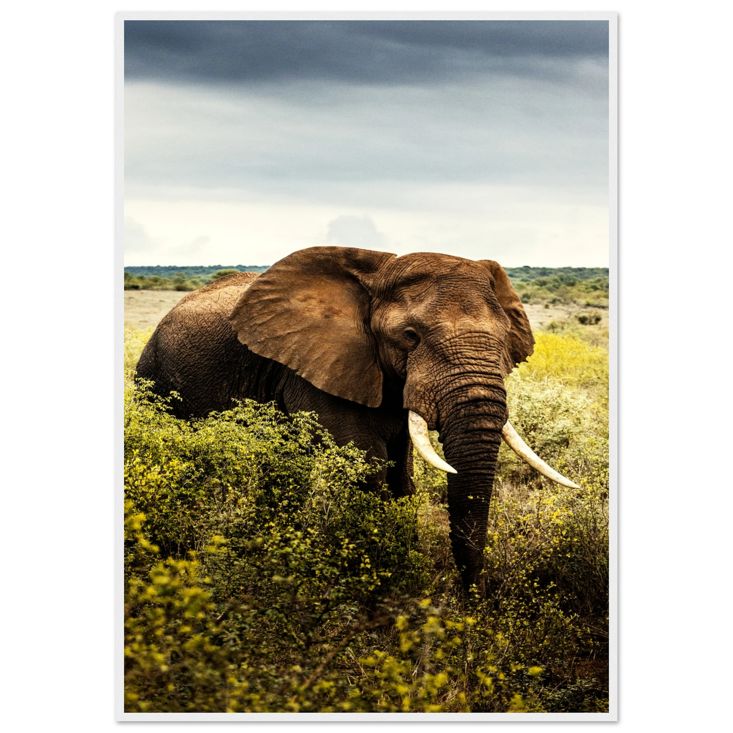 568a51d8-fff9-4bf0-8e7b-838bce9e93f8