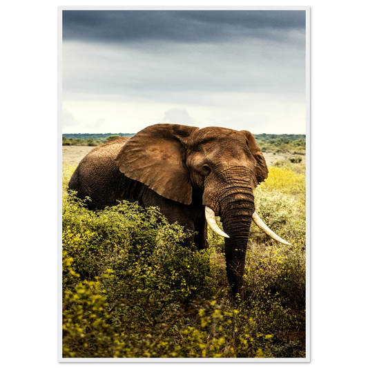 568a51d8-fff9-4bf0-8e7b-838bce9e93f8