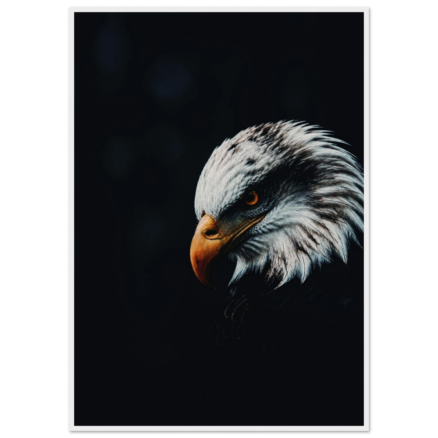 58a518c5-00b2-4bbf-82f4-b9fa301d40ac