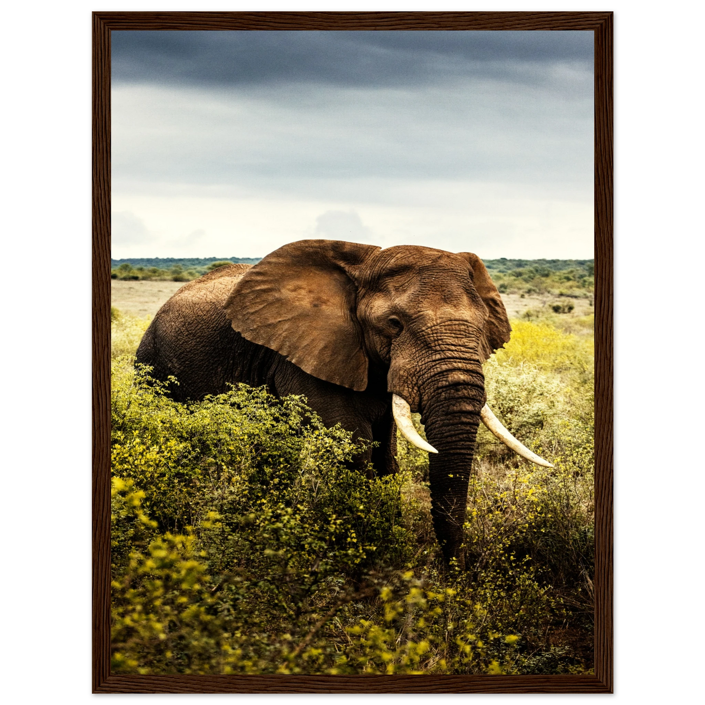 5c49d798-5809-4d0c-98a5-3fd80ace70f9