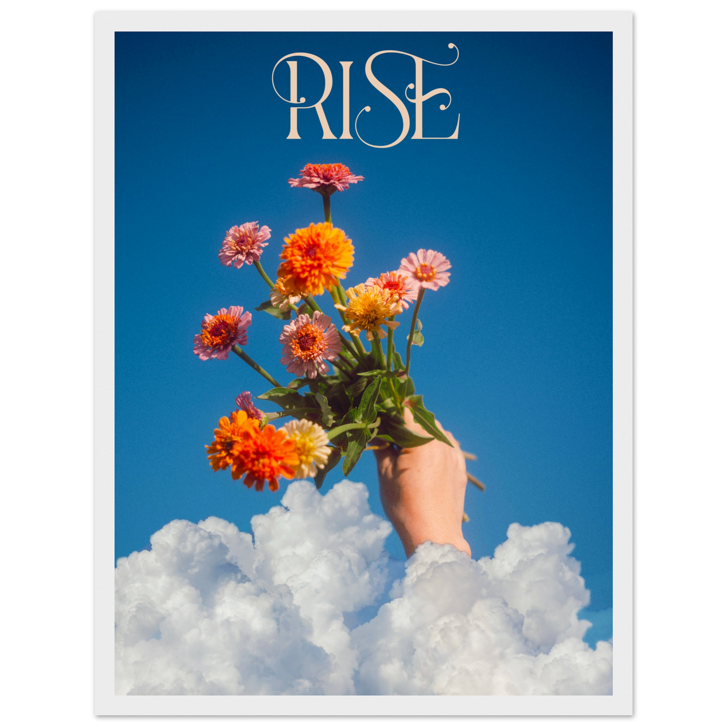 66a7924f-83cc-4e7f-b2d7-9c85a16c3bb8