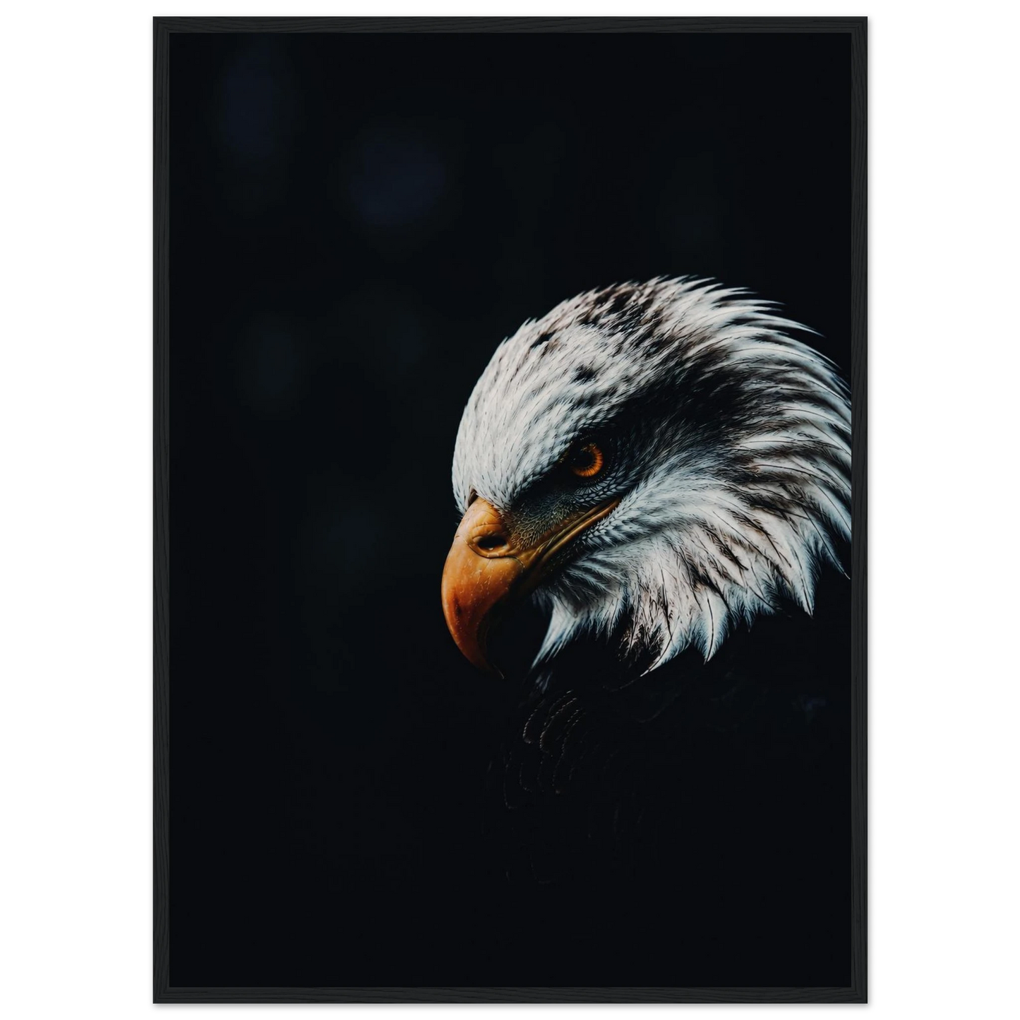 6867bd1b-640d-425e-8cda-af86bc59d0e0