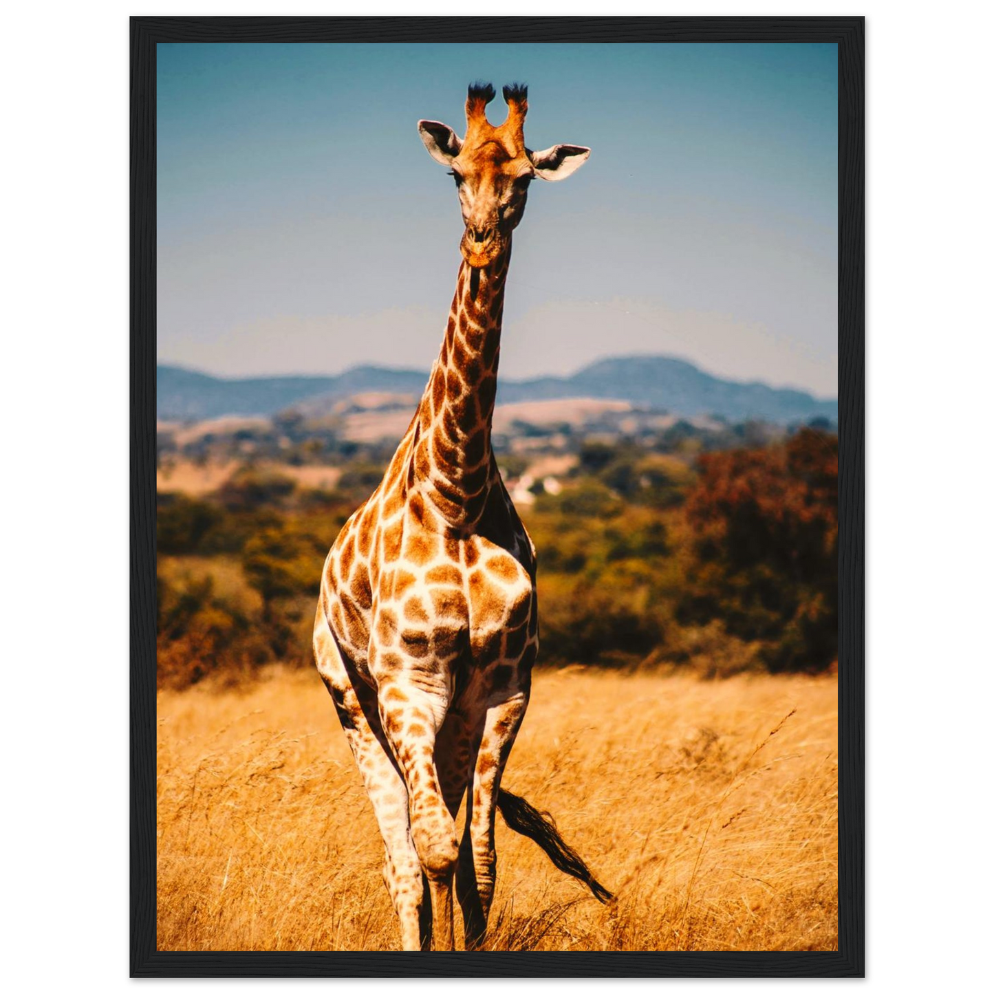 6bb0786b-1339-463f-9364-d1562f0f1fc6