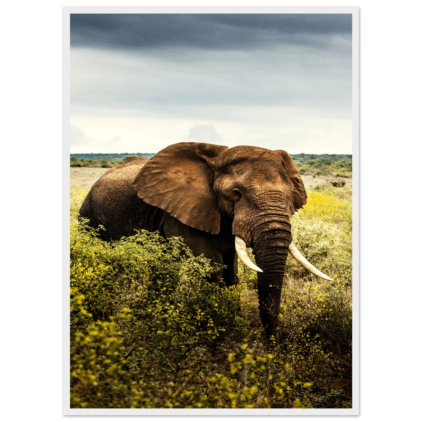 75f29fbc-0ef9-42af-bfac-b83268355a4b