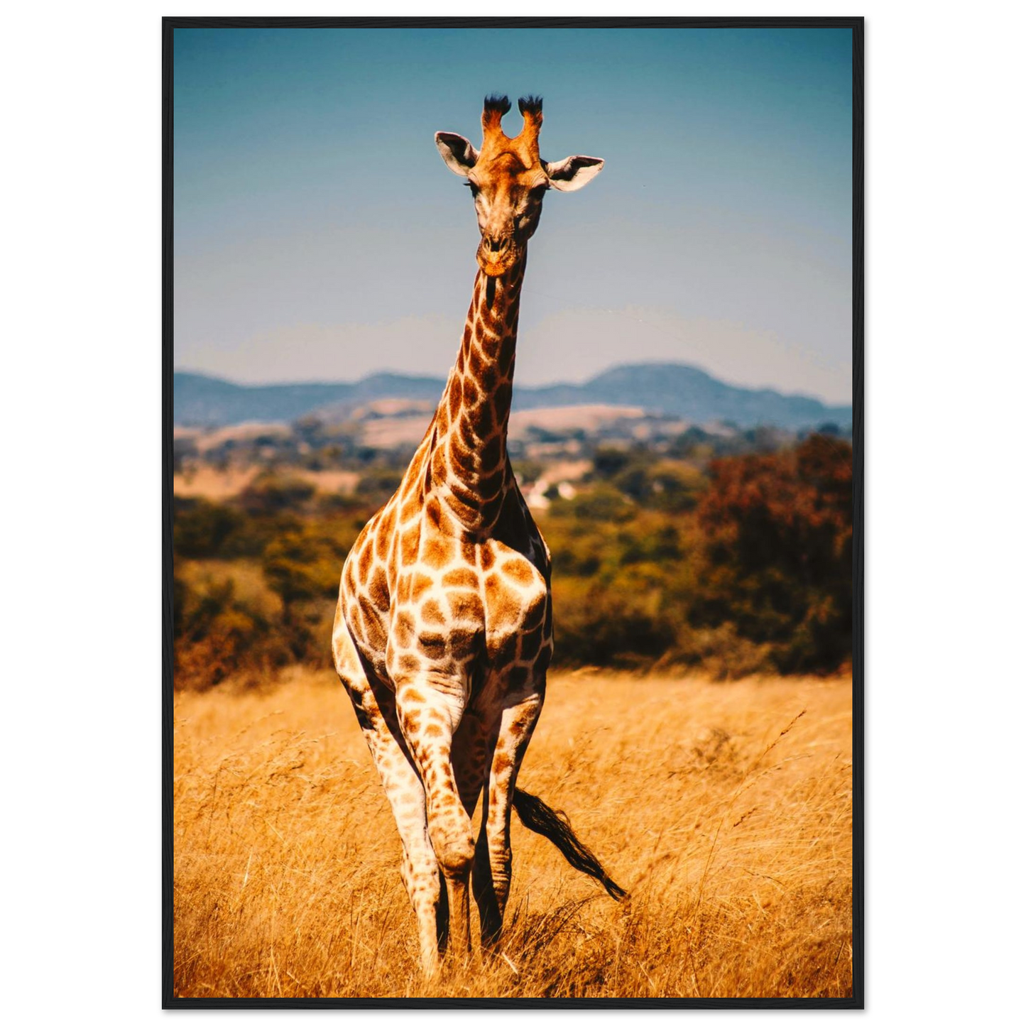 780b8060-ff75-4214-9ed9-a742b468ef4f