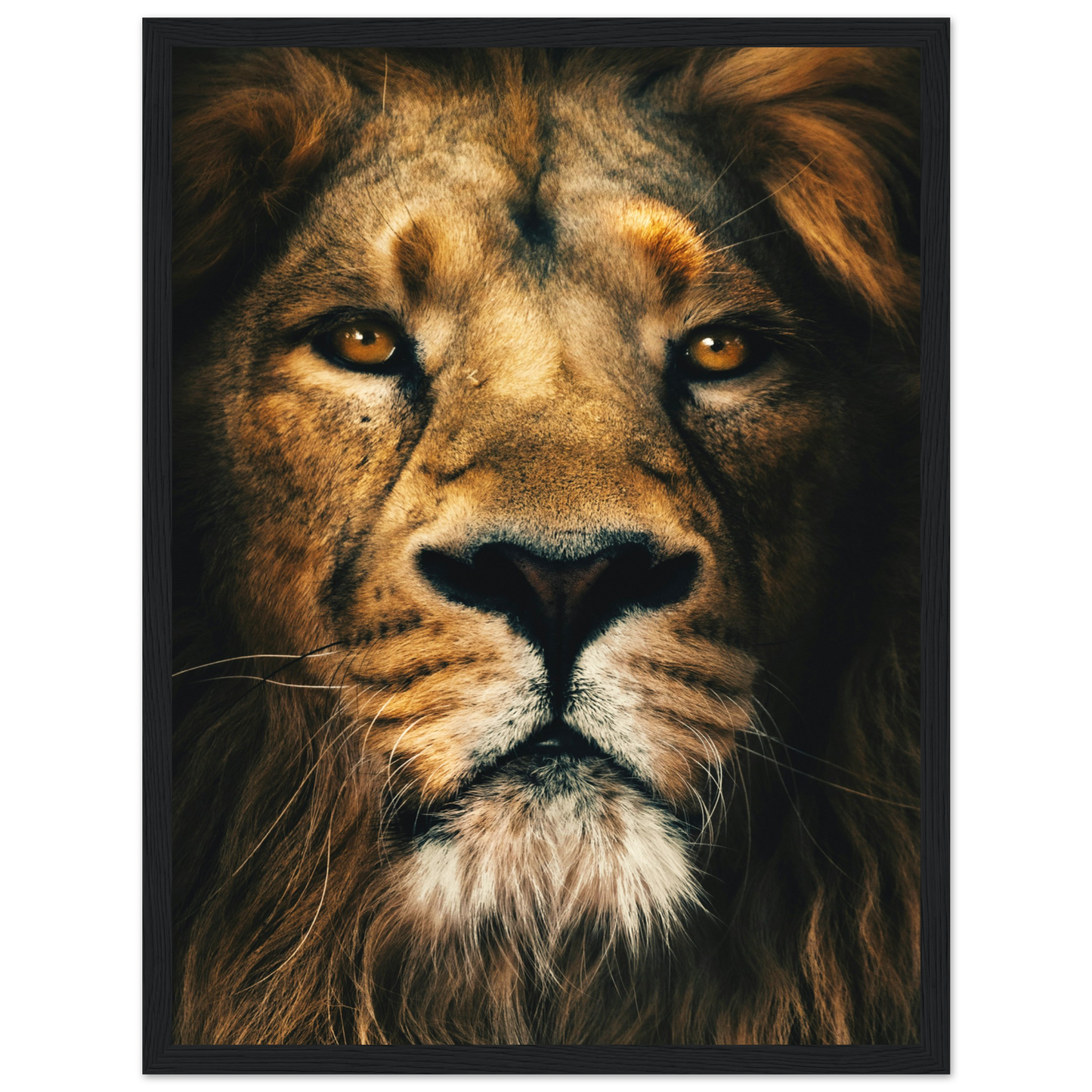 7c953b97-da89-43b3-8152-f06dba381767