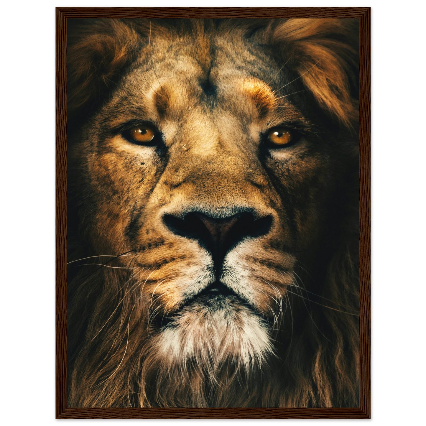 8440599b-d5f6-46c0-8347-cccc31fc48f6