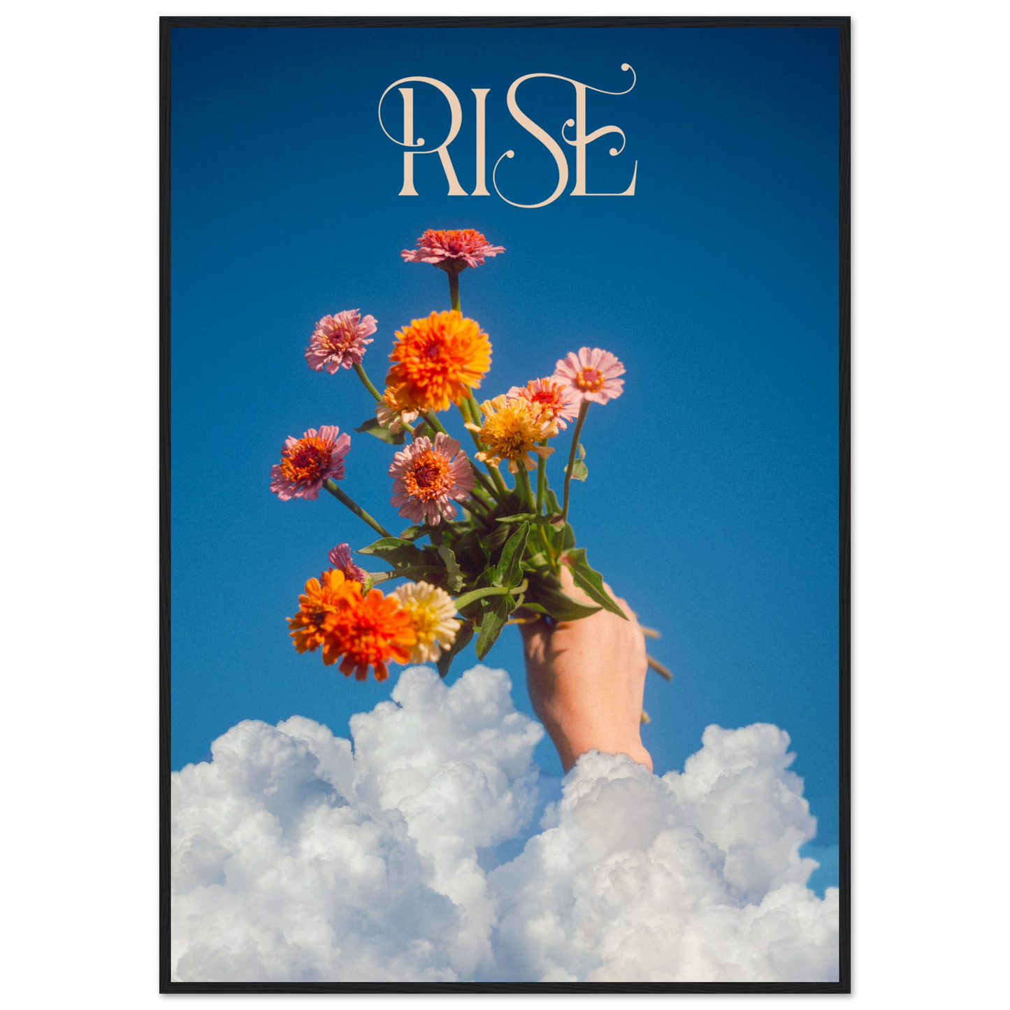 92585bbf-52f9-4b01-afa3-23e226af4fe1