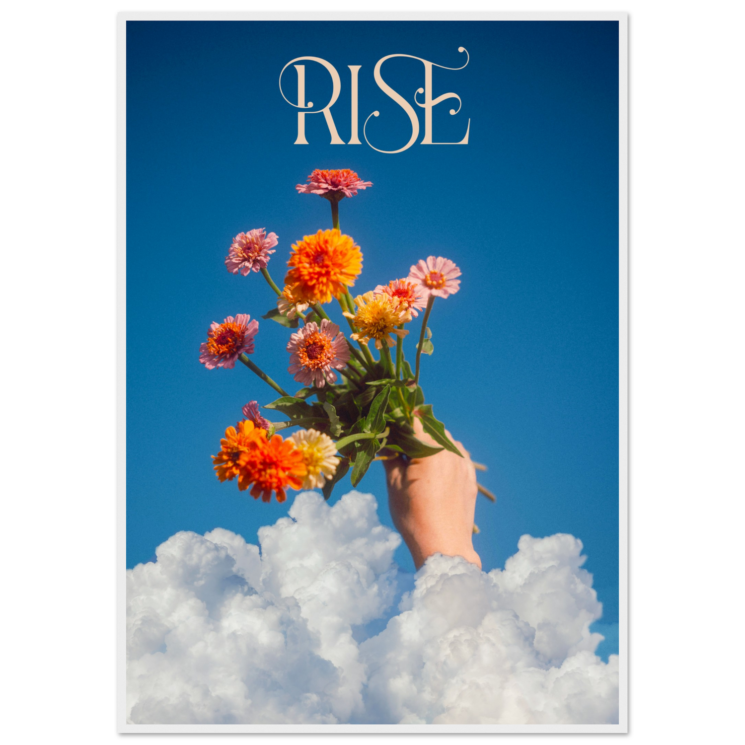 9286efc2-6da6-4a55-8990-856e0a030030