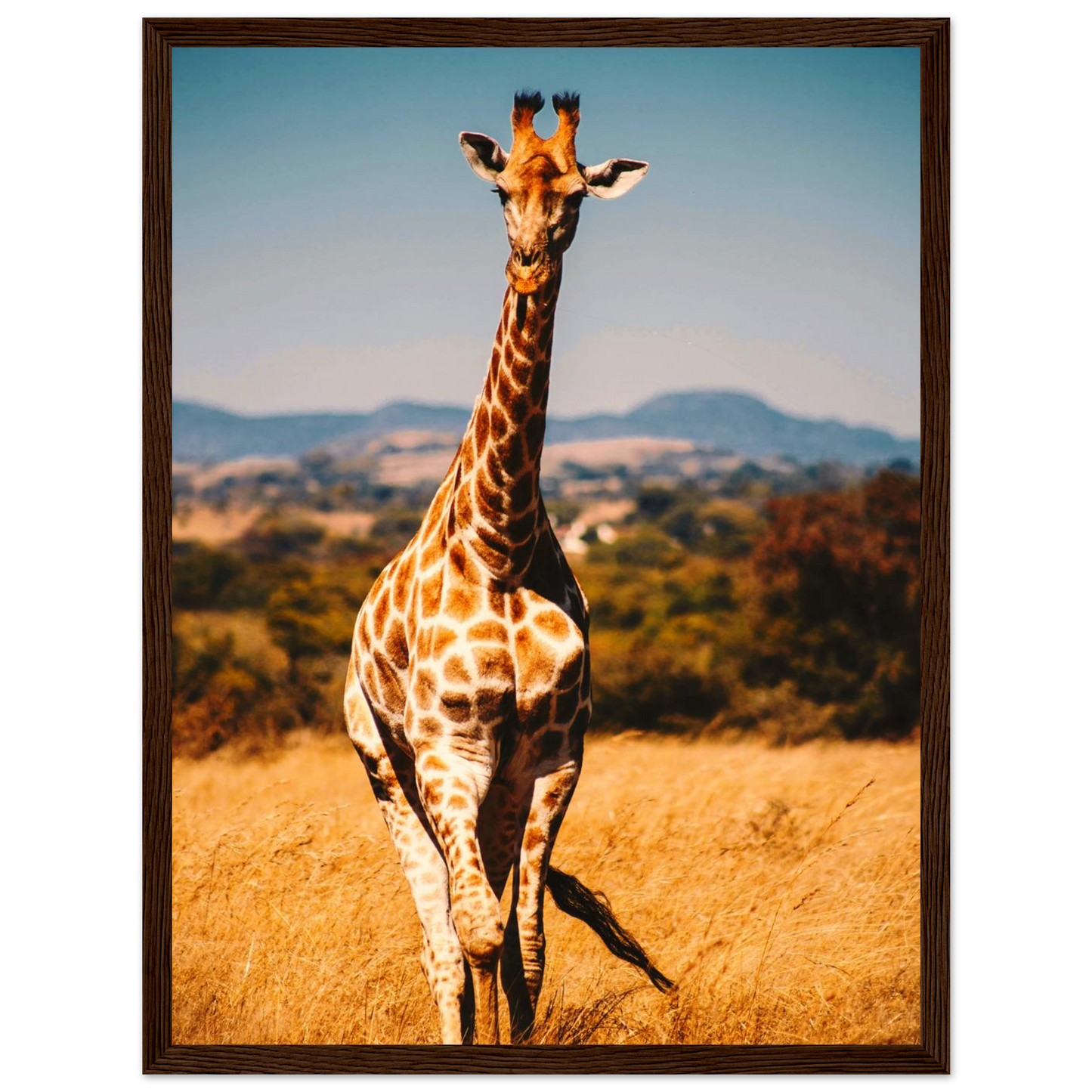 97eccb60-b11e-4e8e-9d16-695a6b47f786