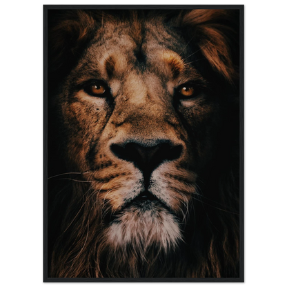 9ac0bb65-6cd1-44f9-8f52-7146c082f2ee