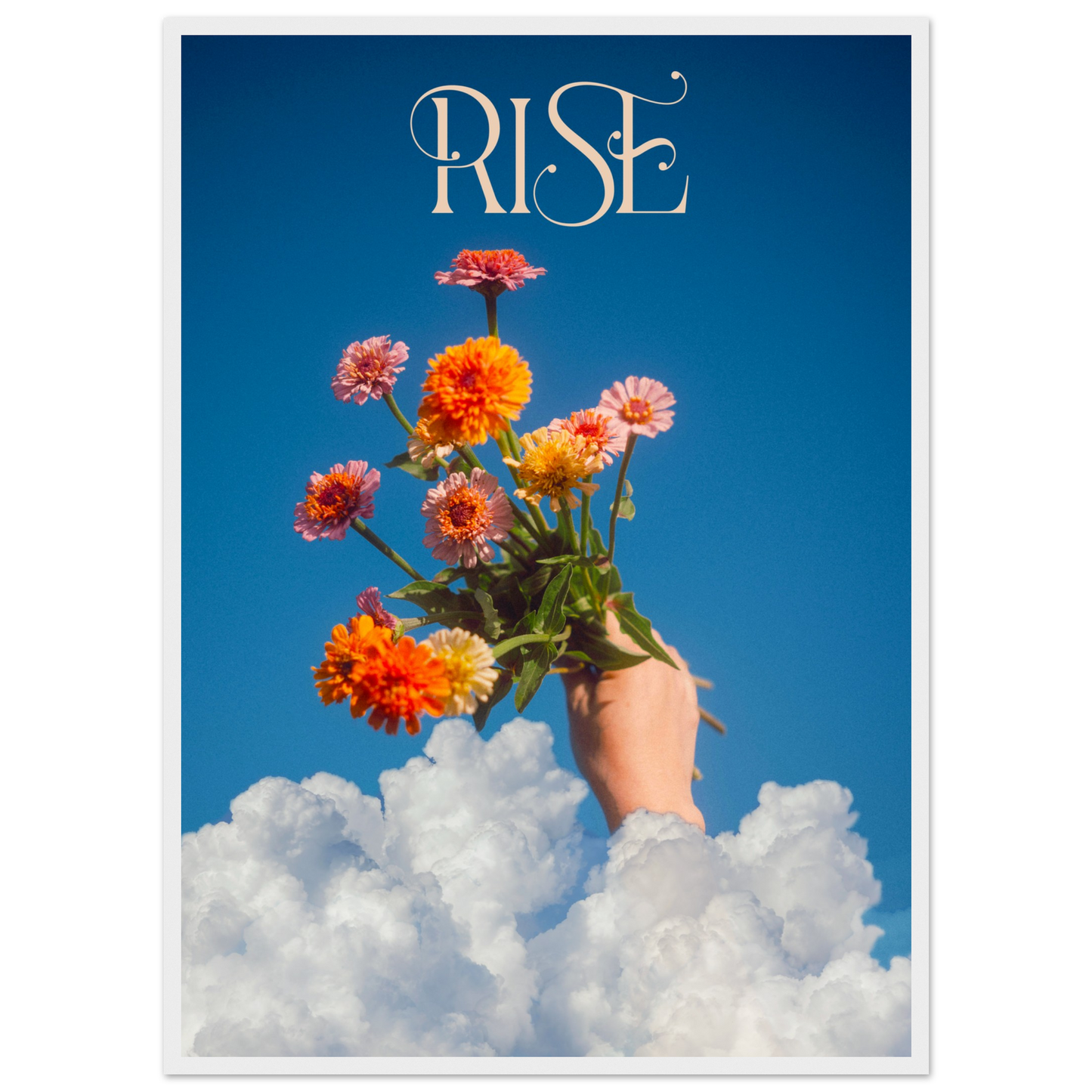 9b064365-ee7c-4044-8b7d-50a035f540f4