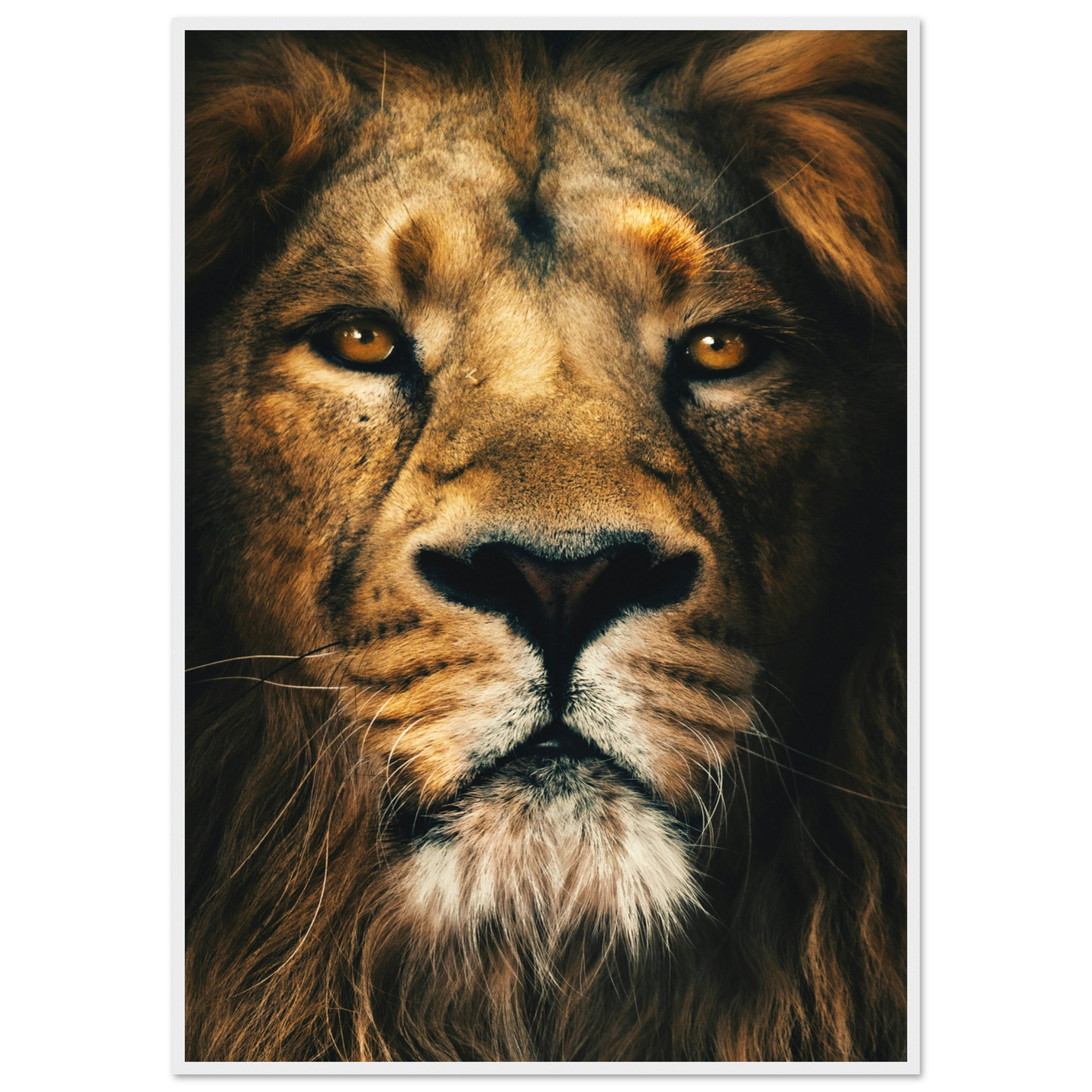 9dac7933-3534-4e00-af4a-a0a0c265bc0a