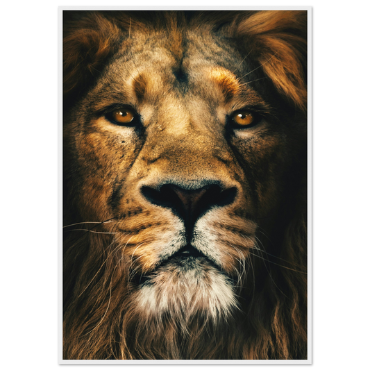 9dac7933-3534-4e00-af4a-a0a0c265bc0a