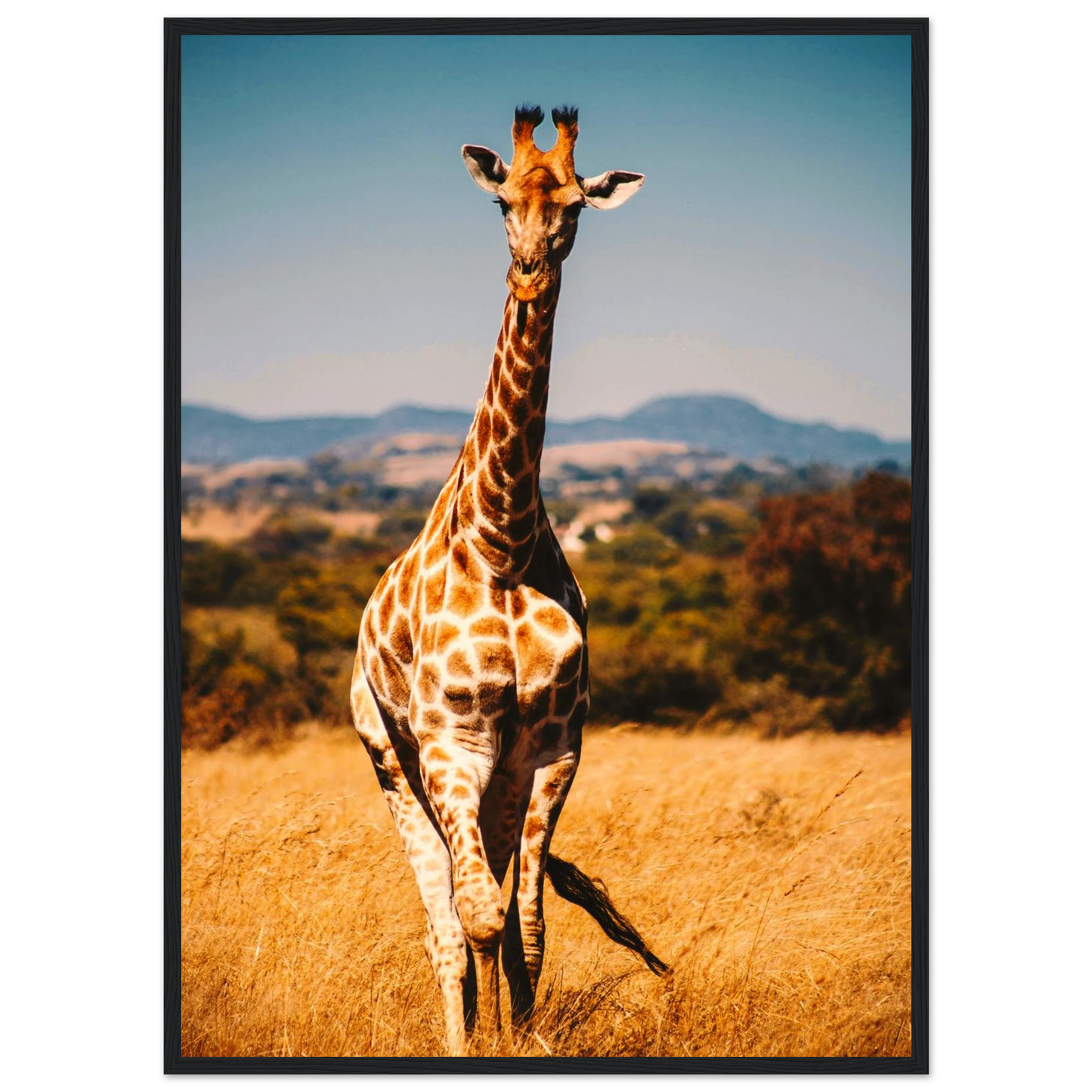 a1277ad7-2be7-44fa-8529-182ce5ff51ee