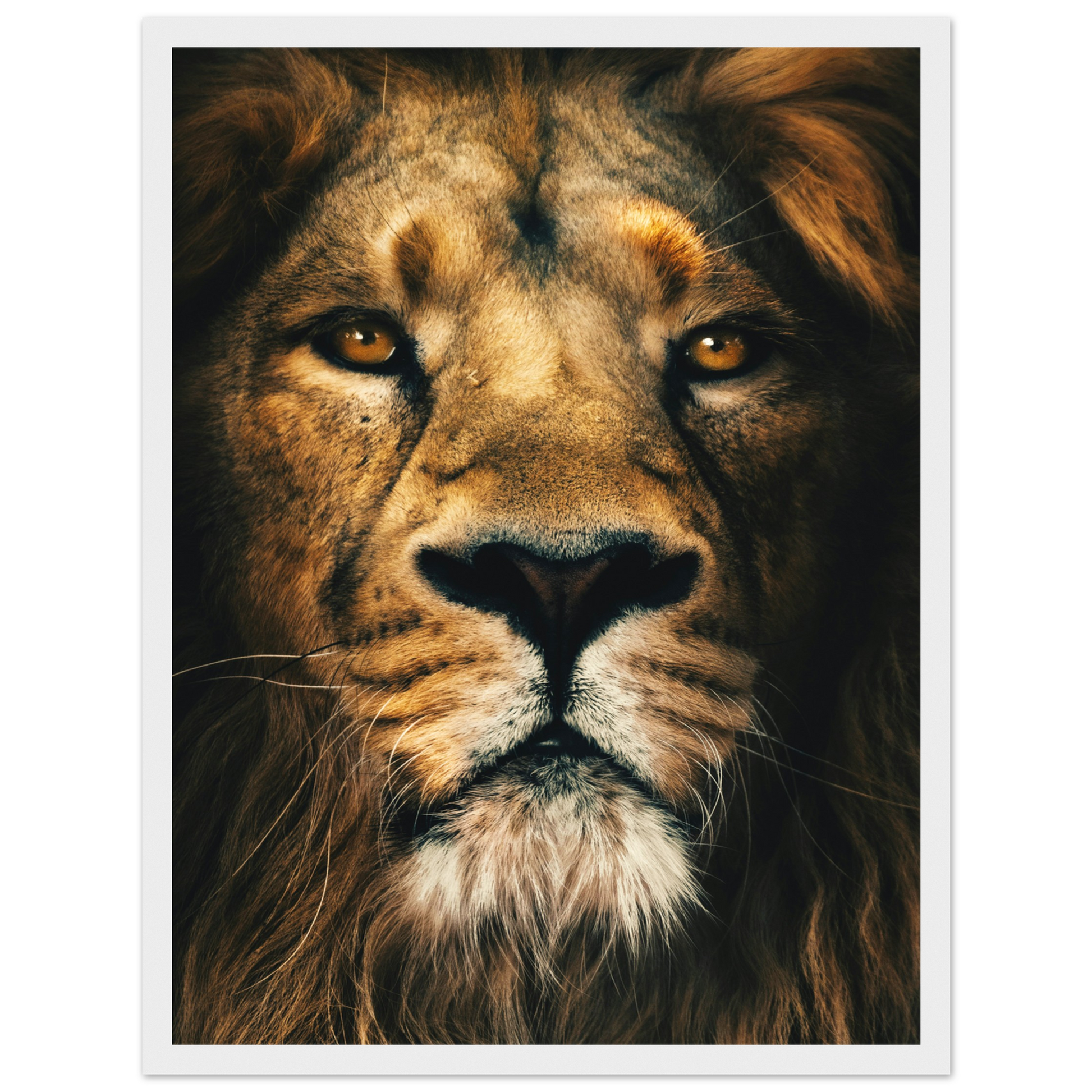 a9c6941b-41a3-43bc-a5a8-6b5229905729