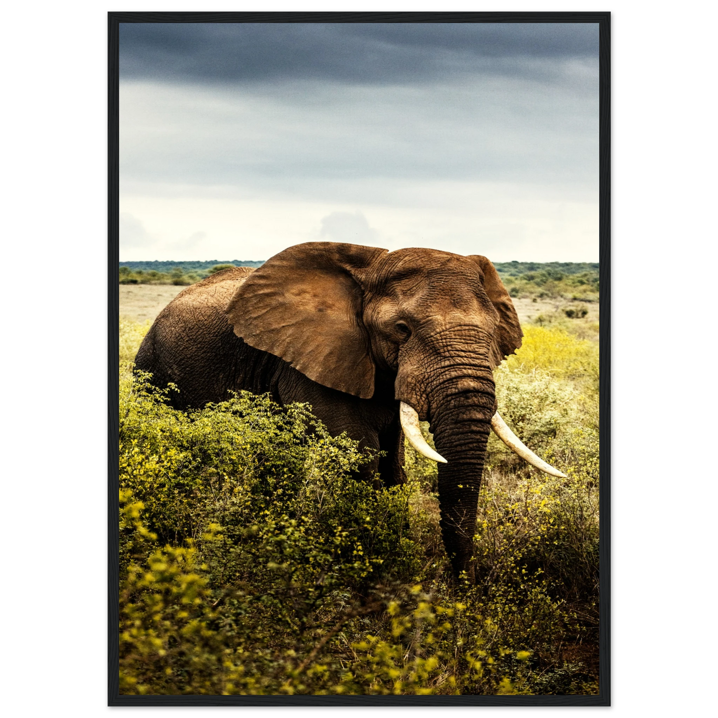 bad697a2-fe8a-4bad-885f-cc3f1a4251a3