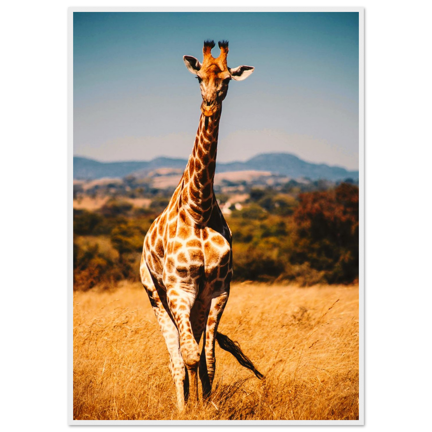 bba8e106-853b-4ef5-9444-4052e804b178