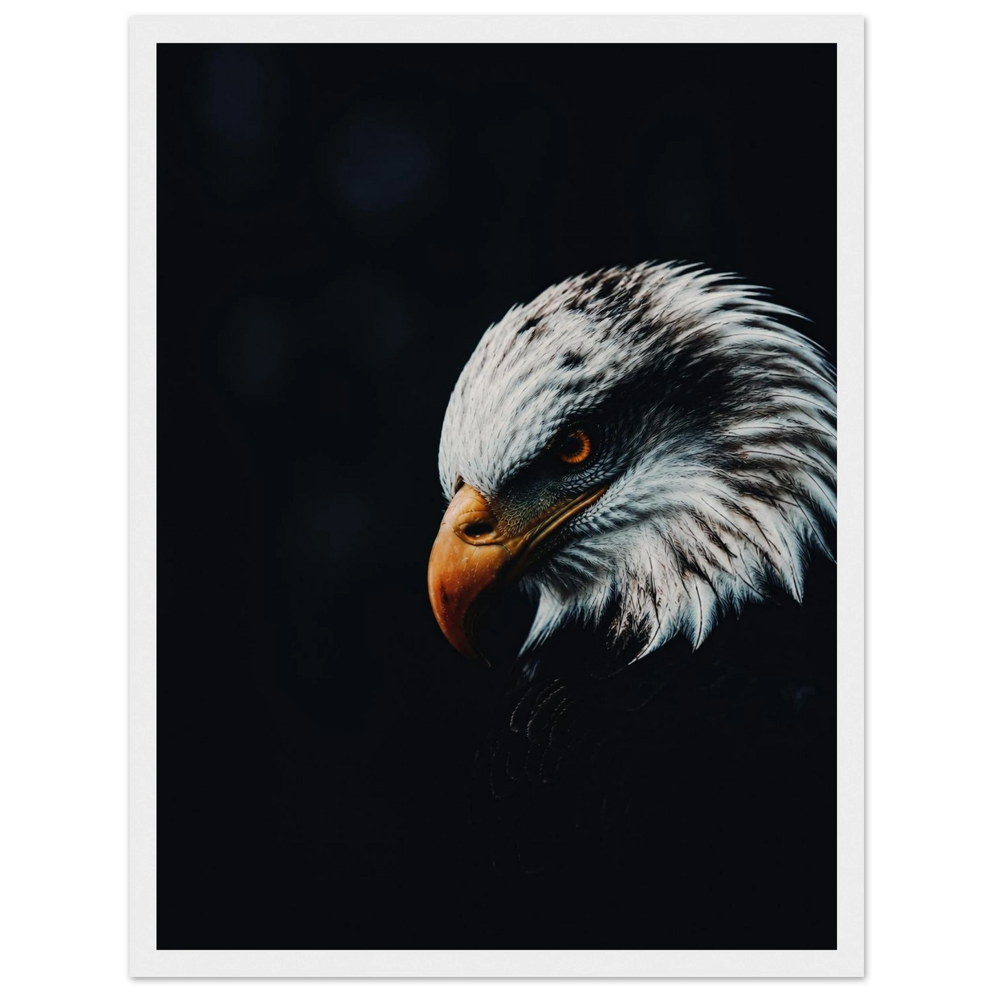 c4586f1e-bb05-4513-85e2-23d2bc9dd46a