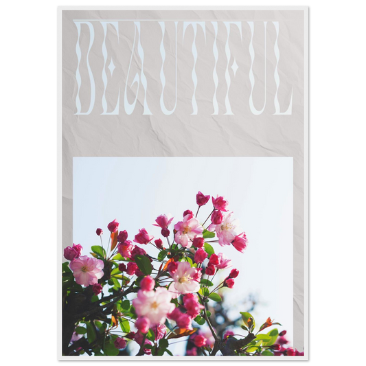 c585b677-5c91-4afb-8d39-ed33b2fdfd4a