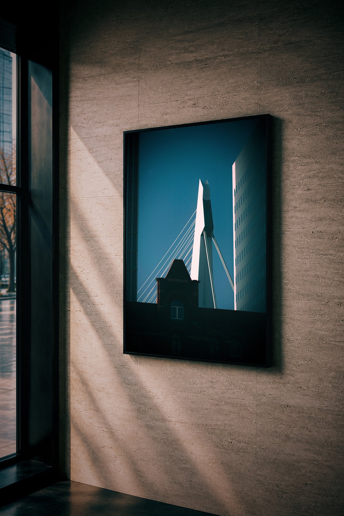 Erasmus Bridge