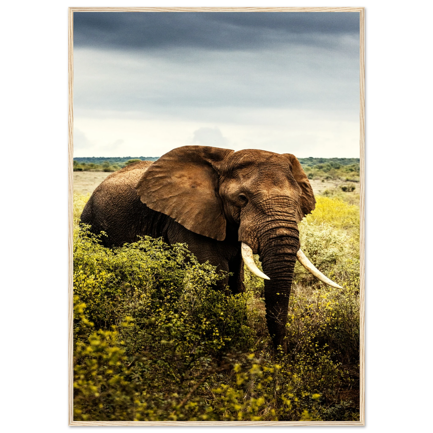 dfe26441-c1bd-4046-ba2b-24854187c535