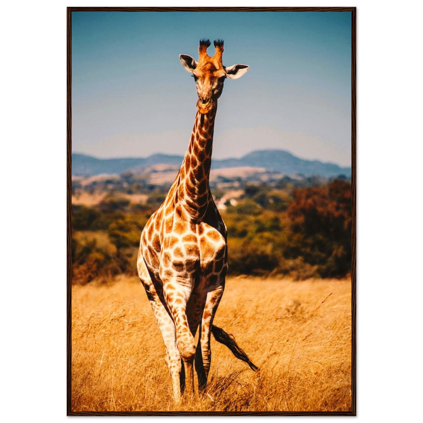 e54a0d5b-8fa8-42f7-a752-ea250415572b