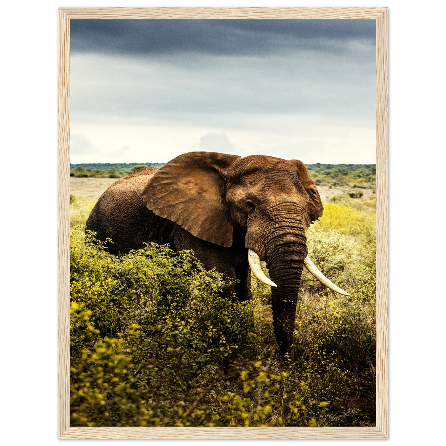 f3873383-e6d6-4aec-9d4f-72b2c6f01f94