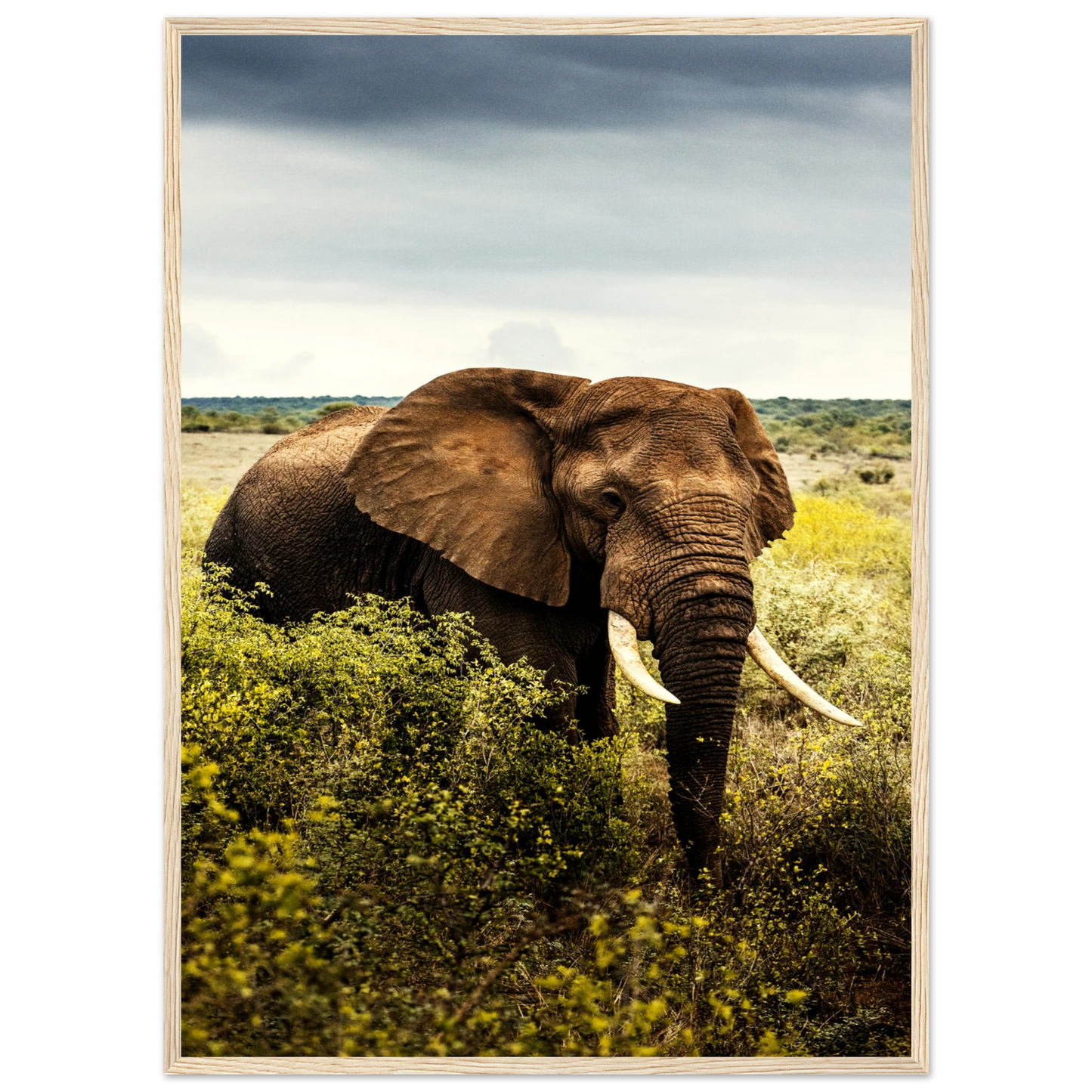 f47336de-c7a4-4d42-986a-a5b3b0e89b94