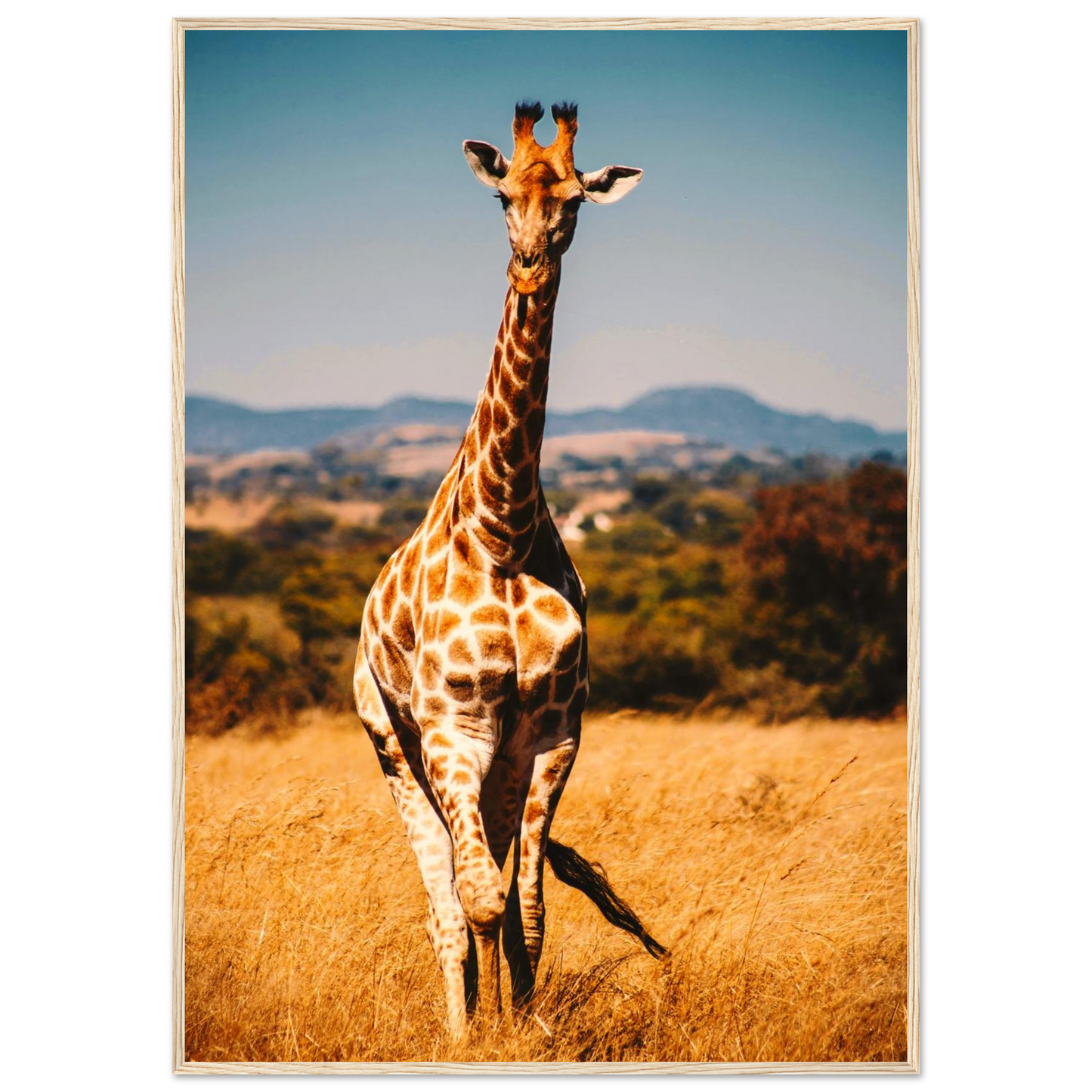 fc7dc8d3-015b-4ca2-b9e8-110594e39e01