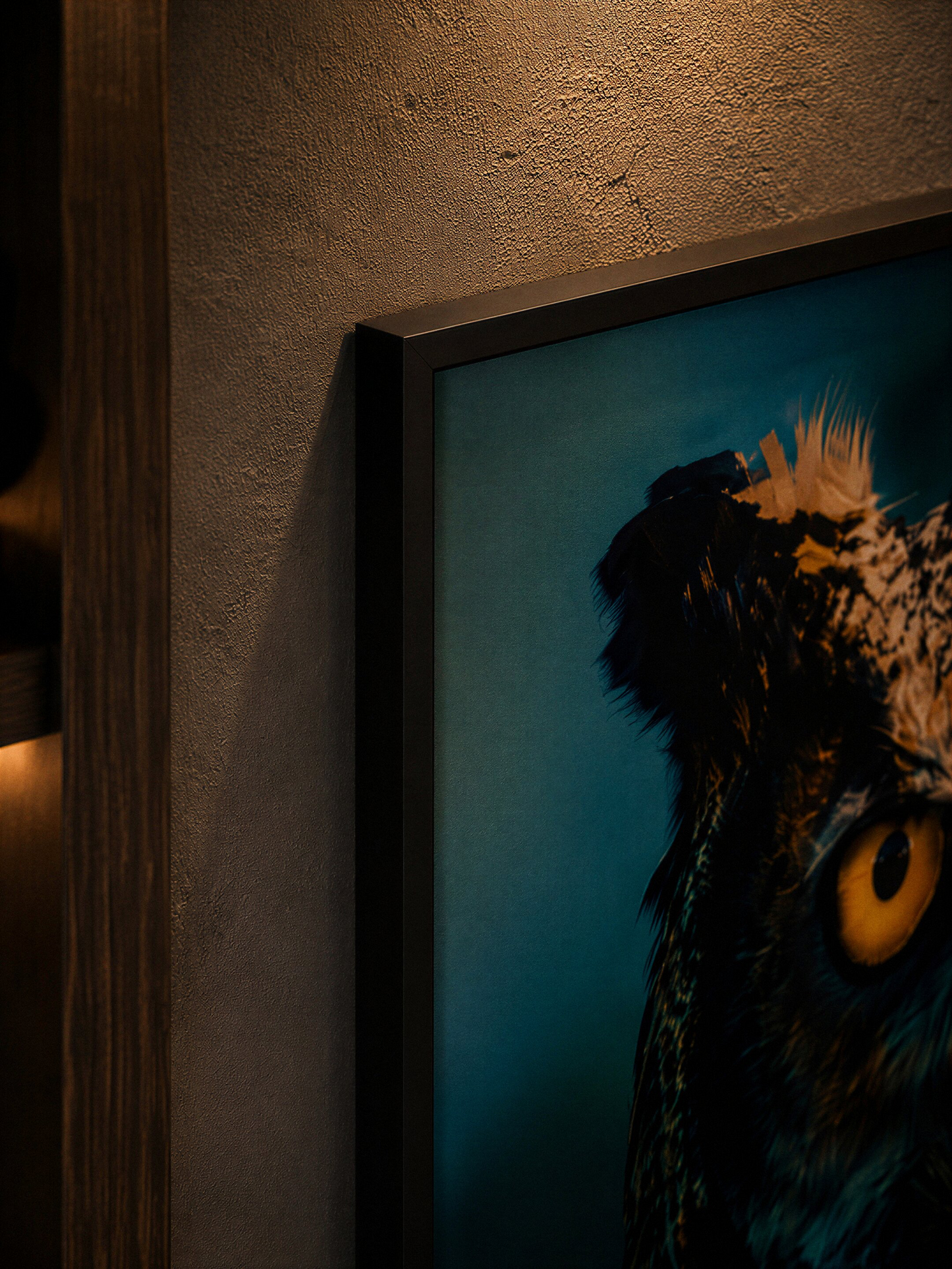 Owl